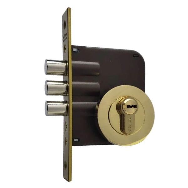 Extra Redonda Roscada Ashico Oro