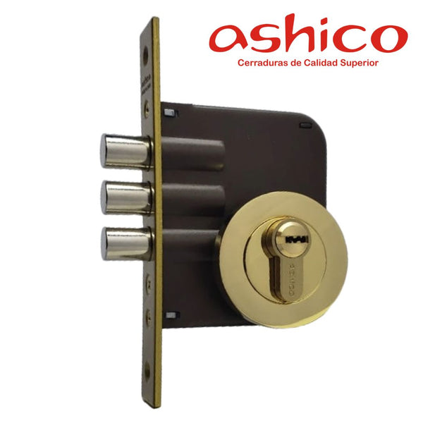 Extra Redonda Roscada Ashico Oro