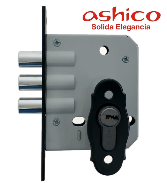 Extra Chapeton Colonial Ashico